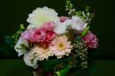 img_flow_edited-1.jpg