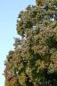 img_2771_edited-1.jpg