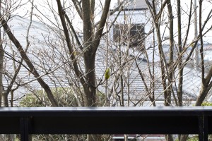 IMG_3666_edited-1