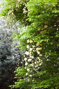 IMG_4025_edited-1