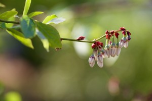 IMG_4601_edited-1